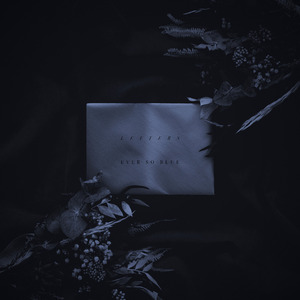 丰满老熟妇肥大BBBBB
